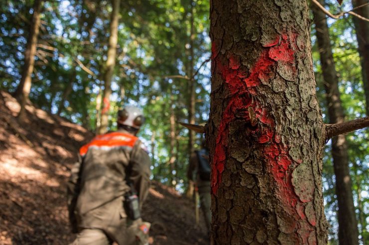 Die Zivilschützer als Wegbereiter im Hinderbachwald